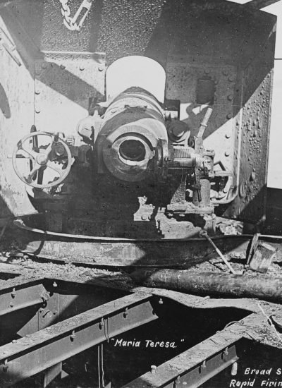 22 D - NH 111928 - 5.5in IMTeresa - mala